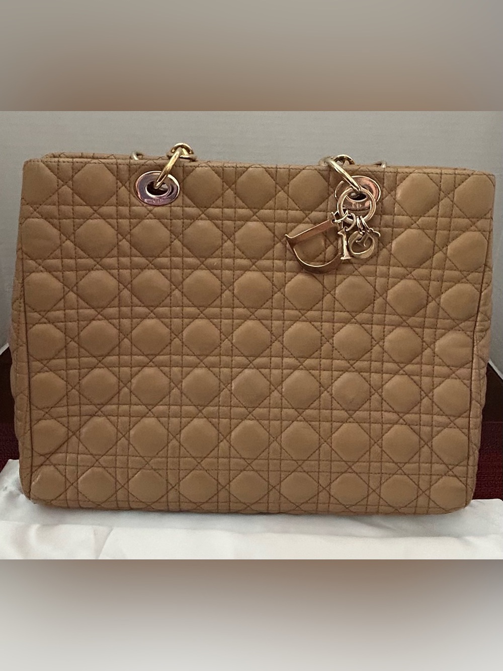 Lady Dior Large Quilted Cannage Leather Tote